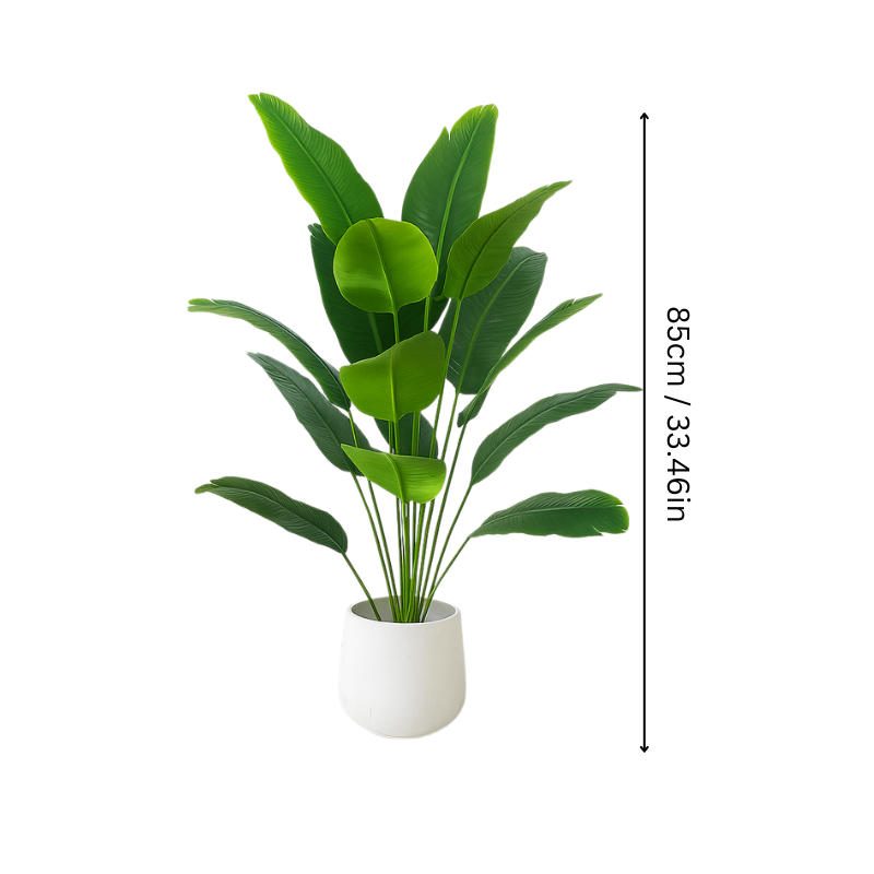 Fresh Befez EverGreen