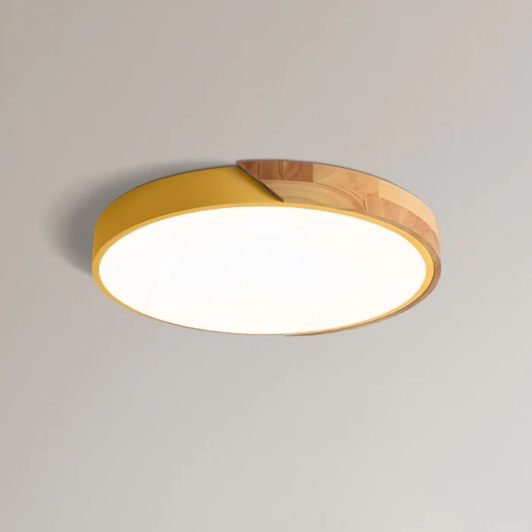 Modern Nordic LED Ceiling Light