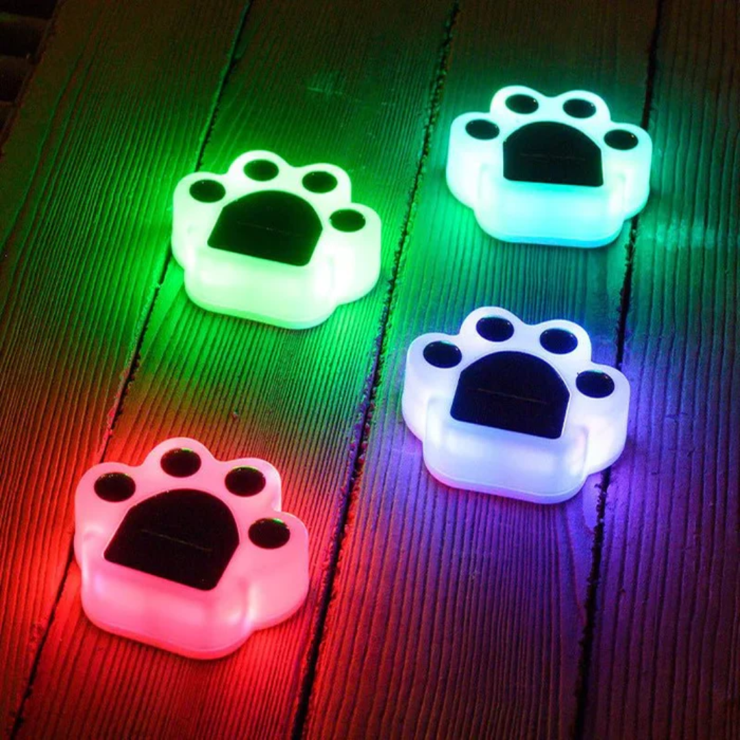 Eco Friendly Garden Solar Light