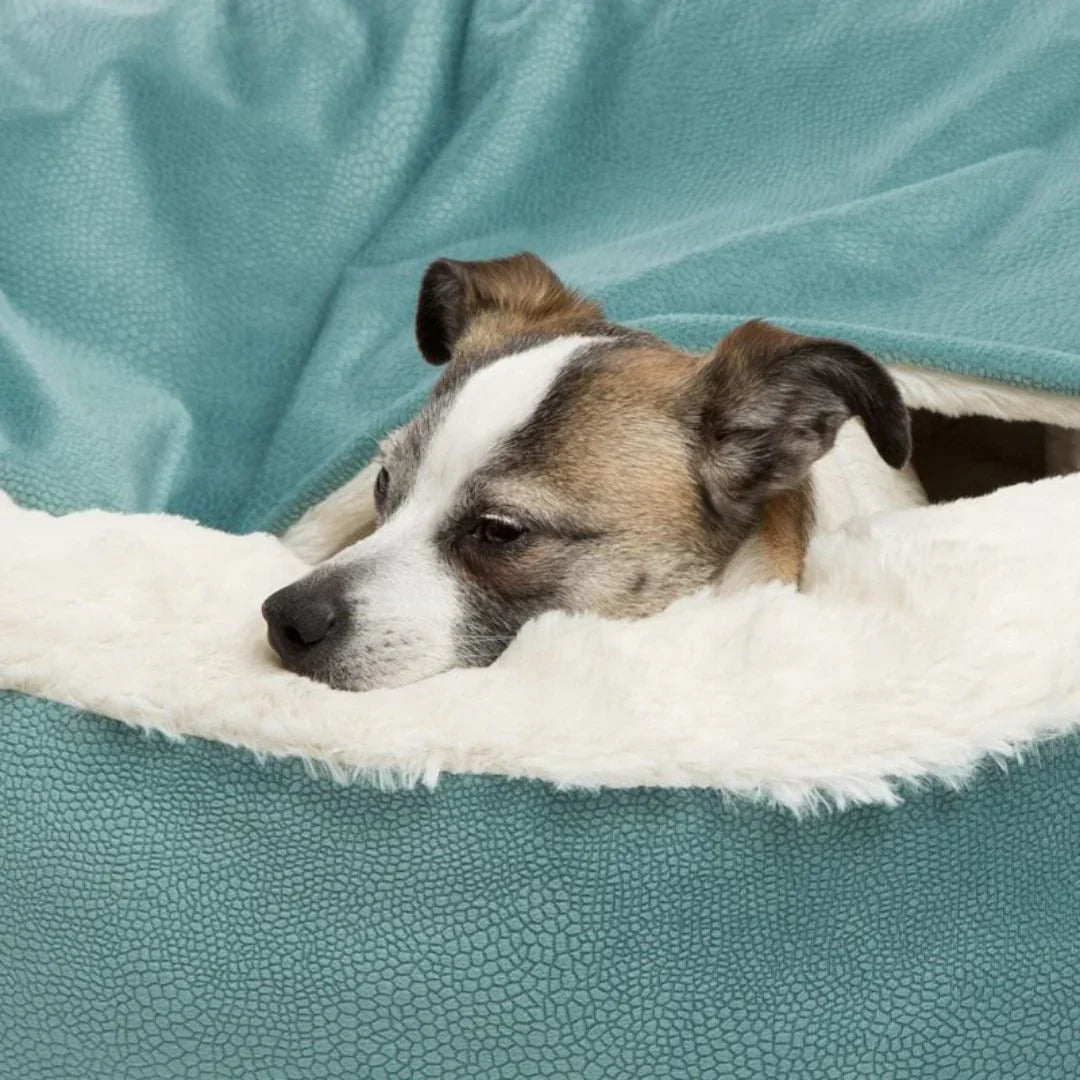 Comfy Pet House – Plush Hideaway Bed