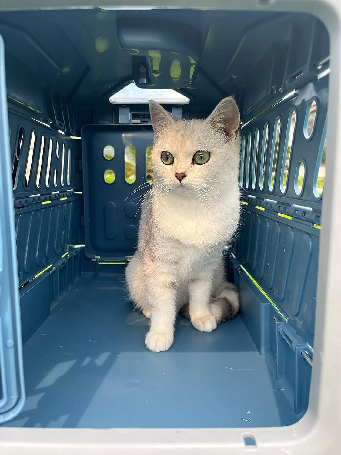 Portable Collapsible Pet Carrier Box