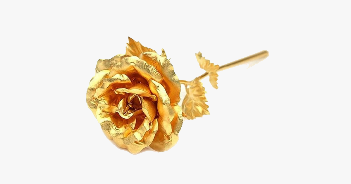 Luxury Gold Rose Gift Set in Box