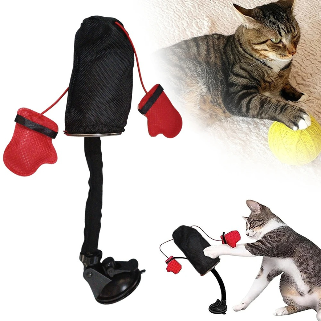 Fun Cat Punching Ball Toy