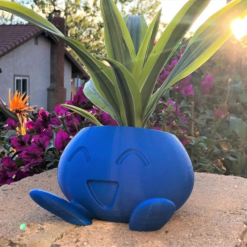 Colorful Planter Box for Happy Plants