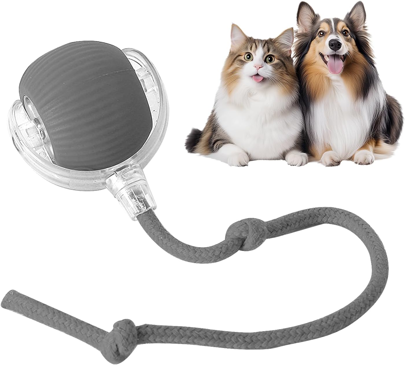 Fun Interactive Pet Ball Set