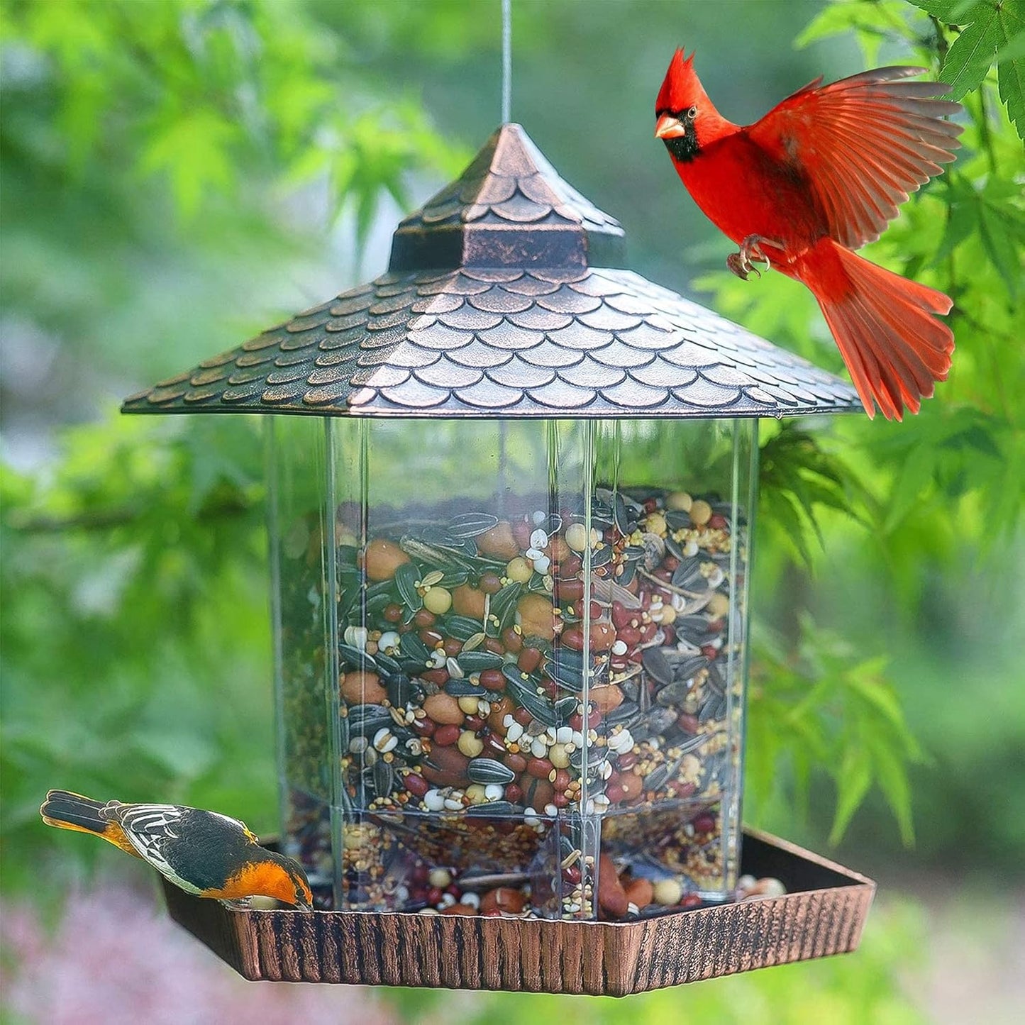 Befez | Garden Bird Feeder with Metal Roof