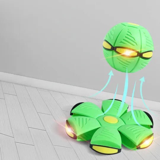 Fun Interactive Dog Toy