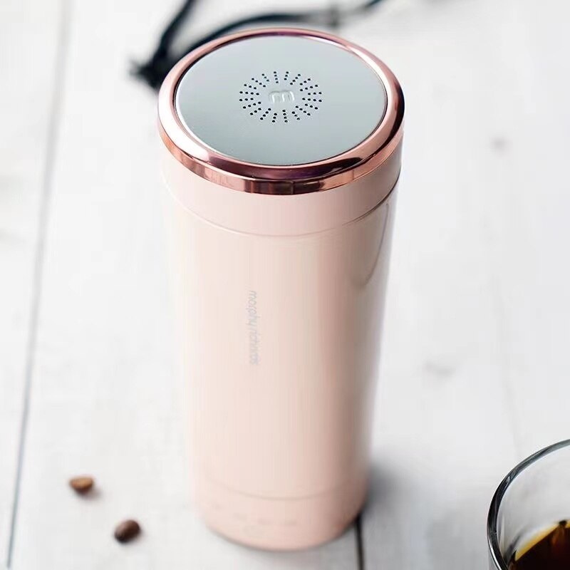 Compact Travel Stainless Steel Electric Kettle