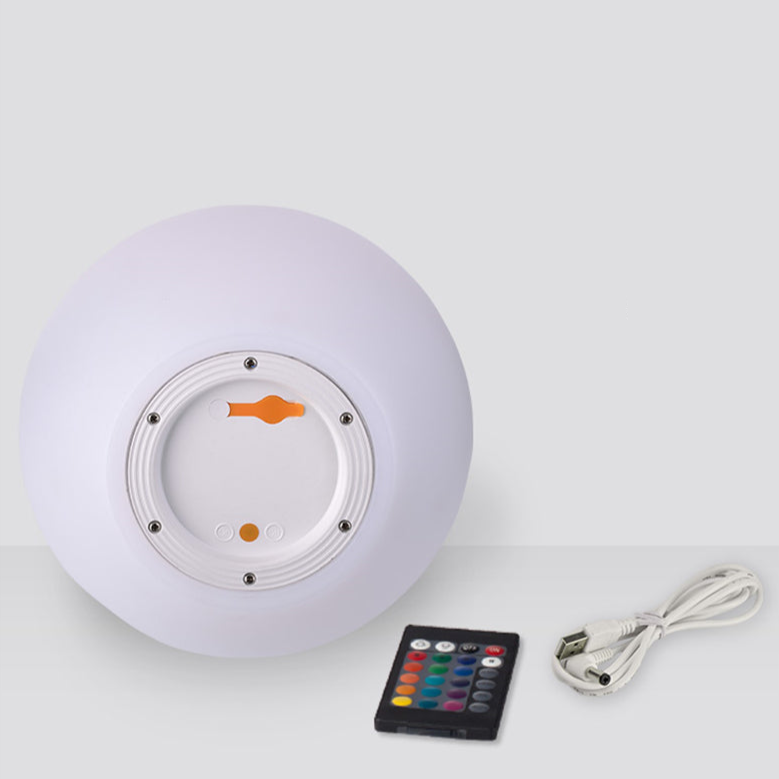 Portable LED Desk Lamp