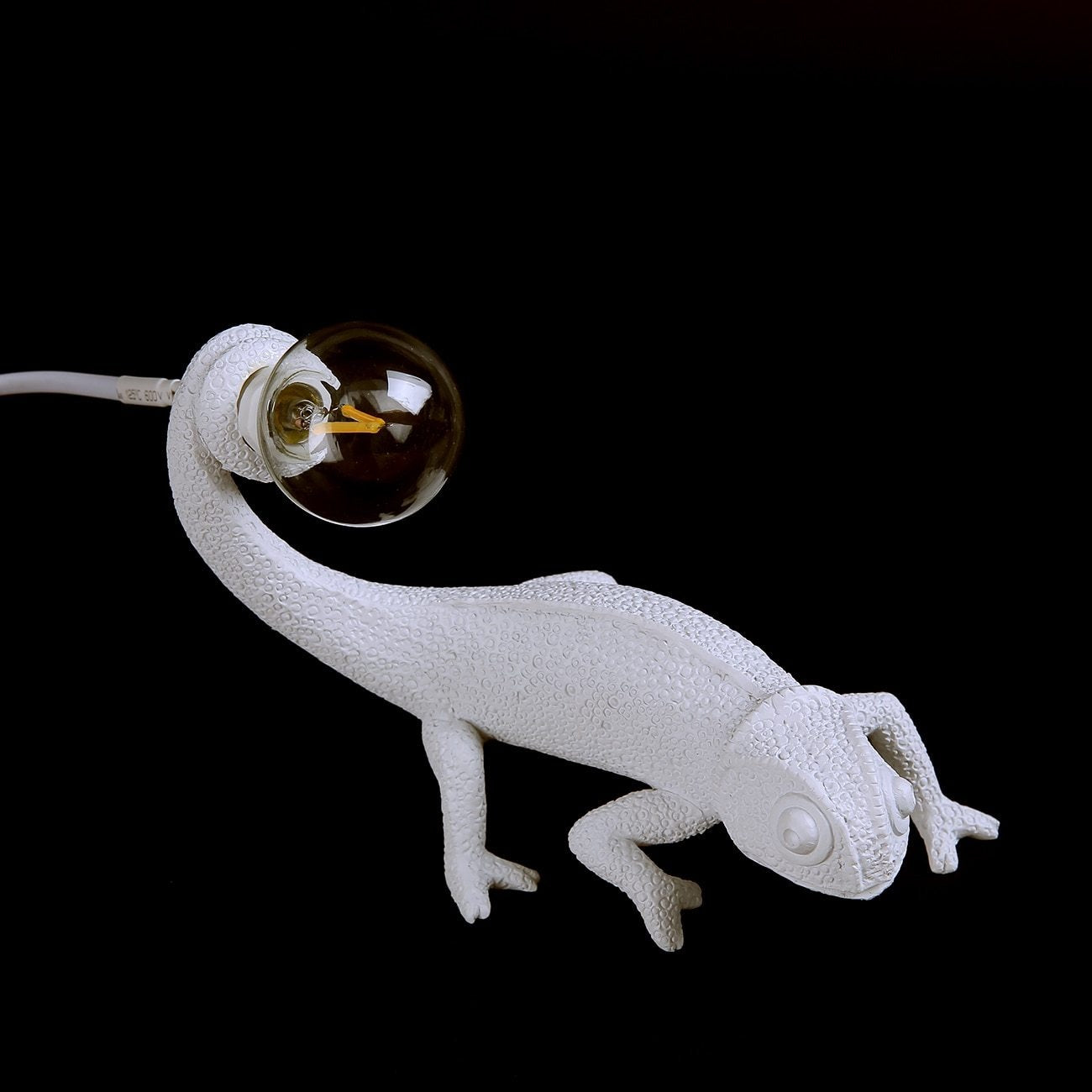 Stylish Resin Lizard Desk Lamp