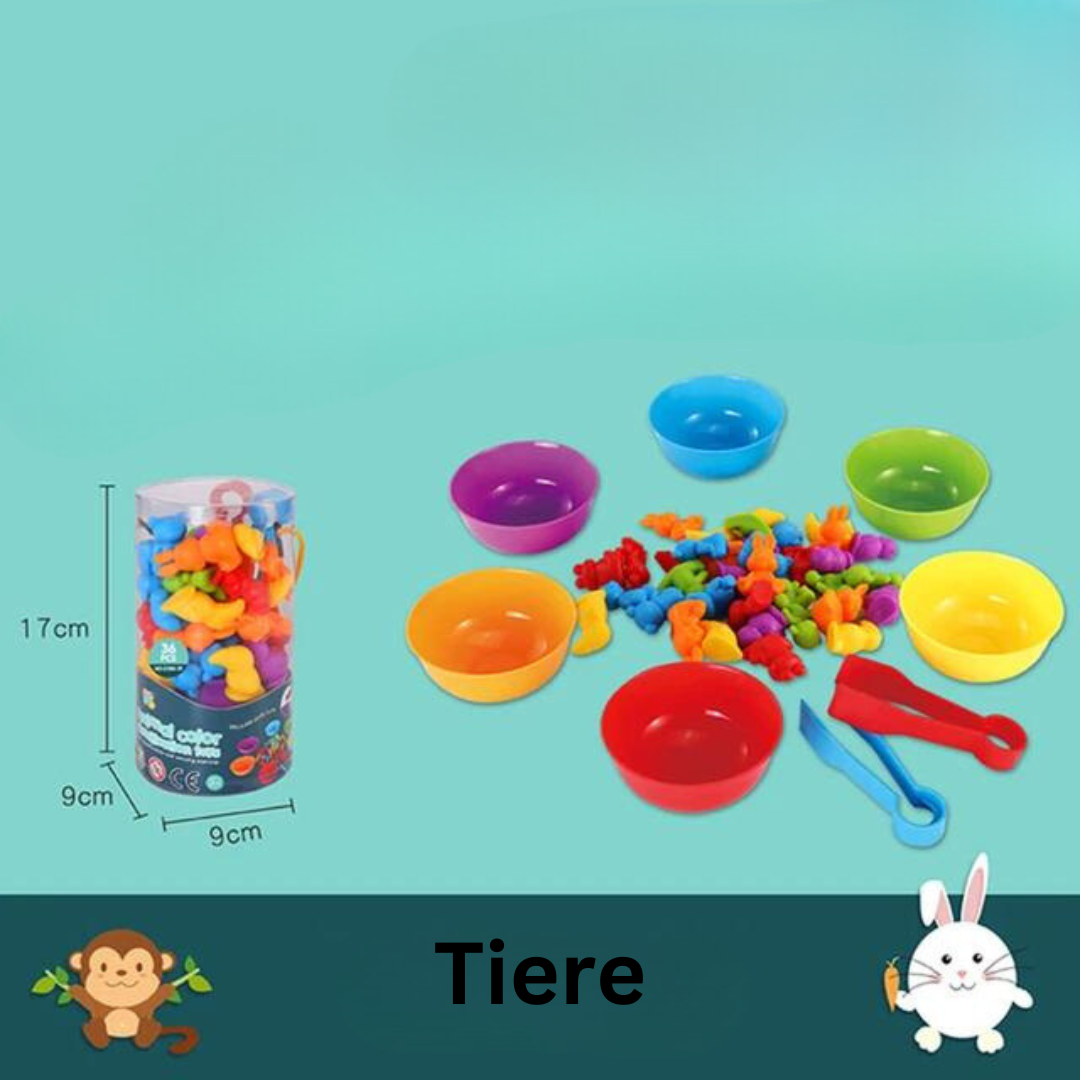 Educational Color Sorting Toy