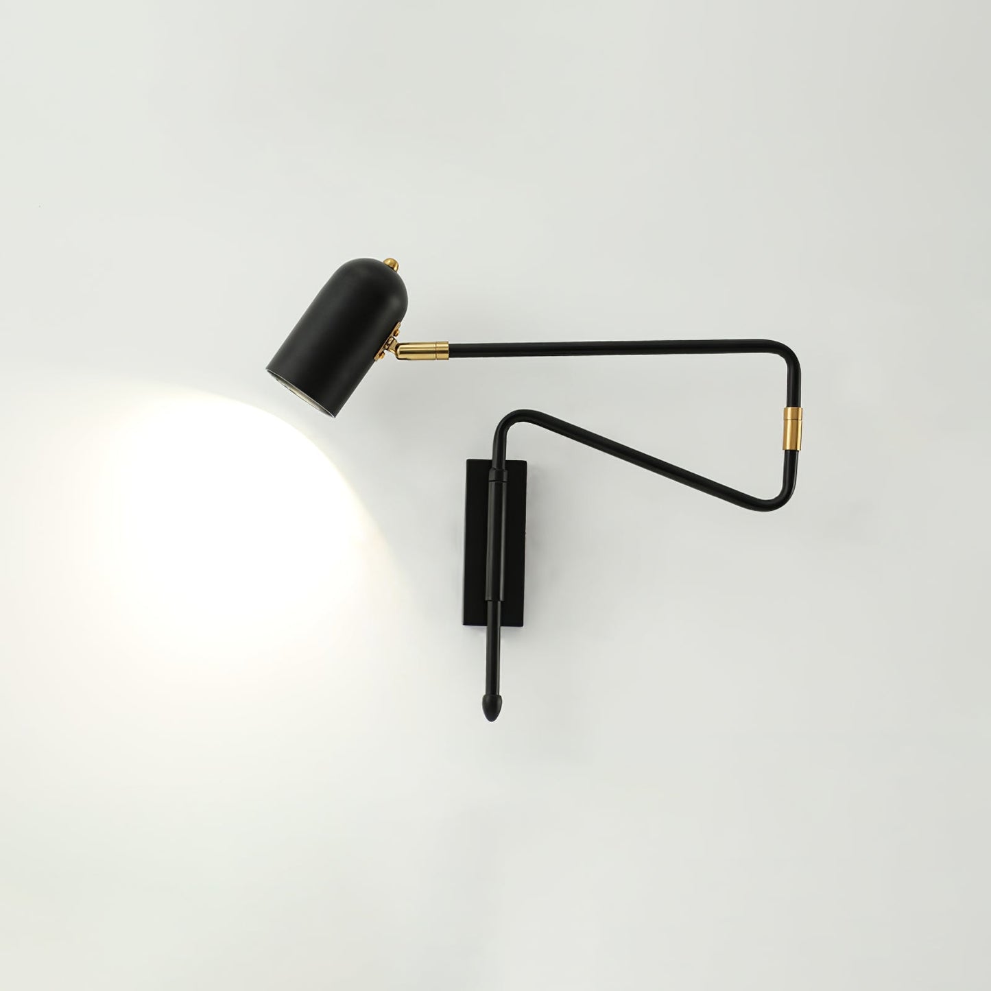 Adjustable LED Wall Light with Flexible Neck
