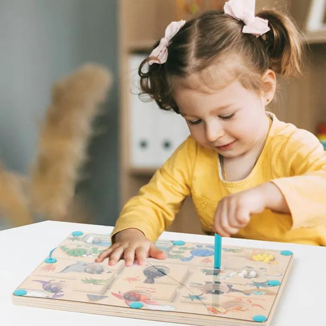 Fun Magnetic Dinosaur Maze Toy for Kids