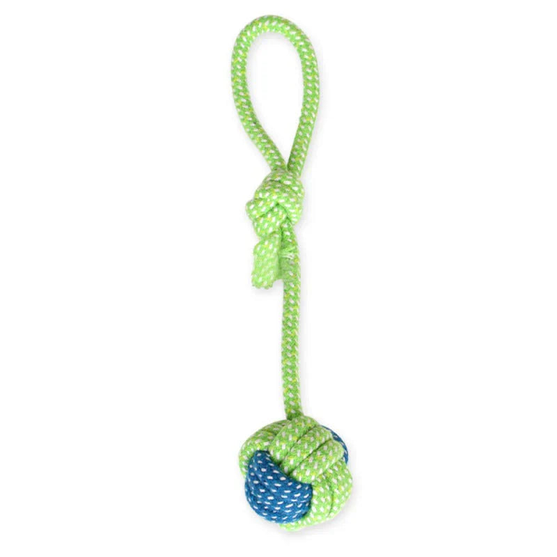 Fun Pet Interactive Rope Toy