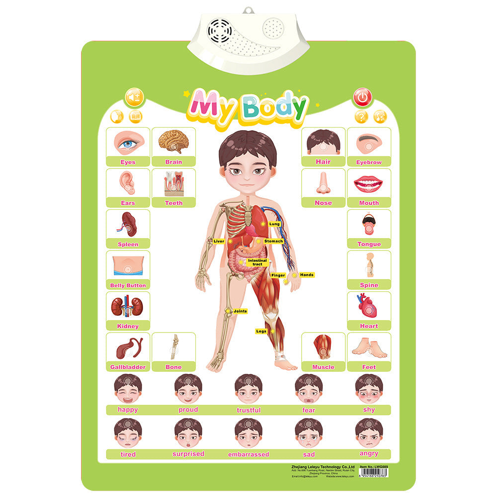 Fun Interactive English Learning Sound Toy