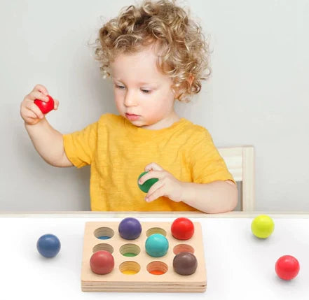 Color Sorting Educational Toy Set