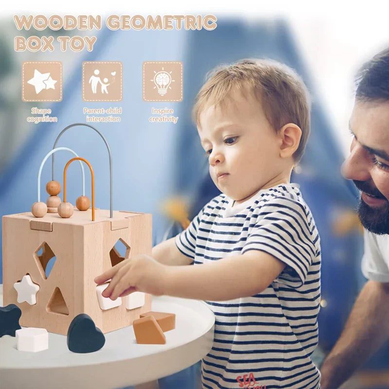 Educational Wooden Shape Sorting Toy Block