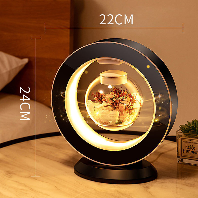 Floating Decorative LED Suspension Lamp