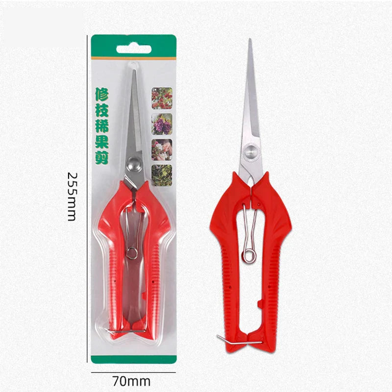 Sharp Garden Pruning Shears for Fruit Trees & Bonsai
