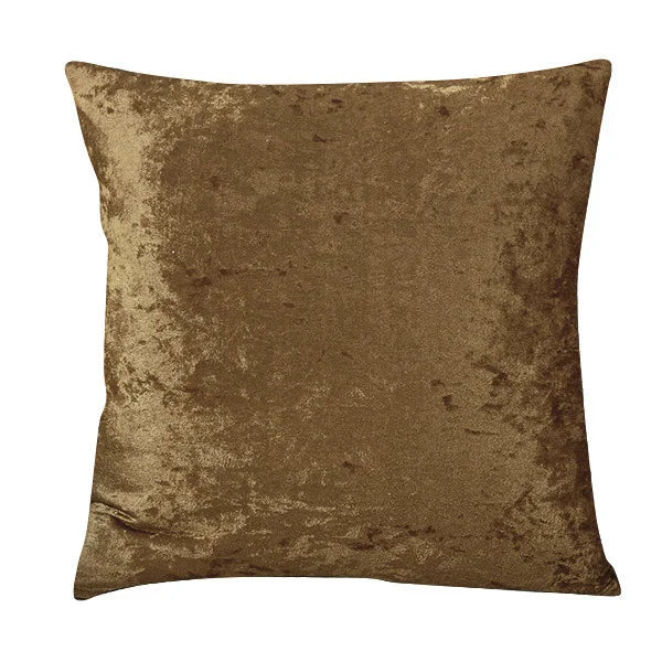 Plush Velvet Accent Pillow for Home Decor
