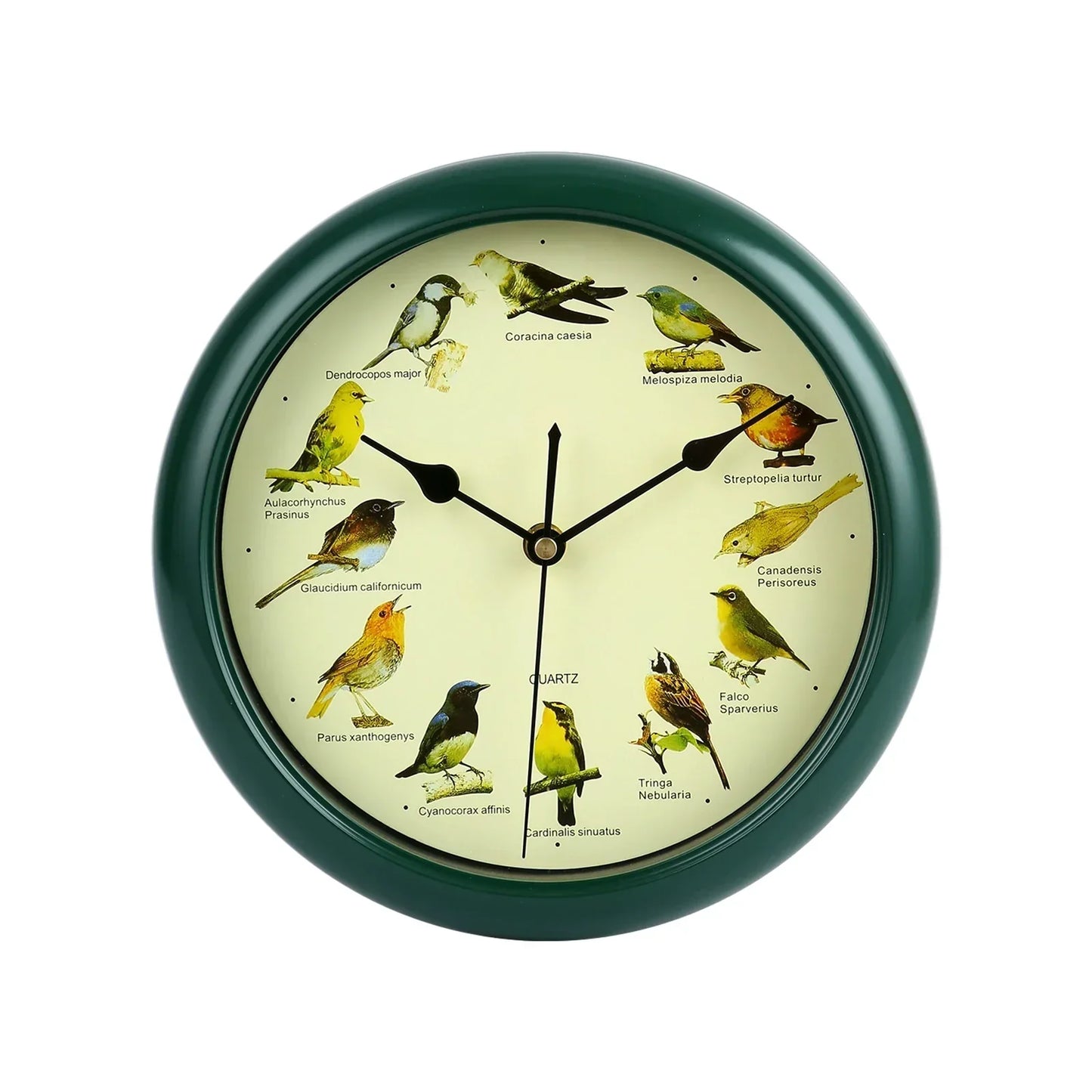 Decorative 10 Inch Bird Song Wall Clock