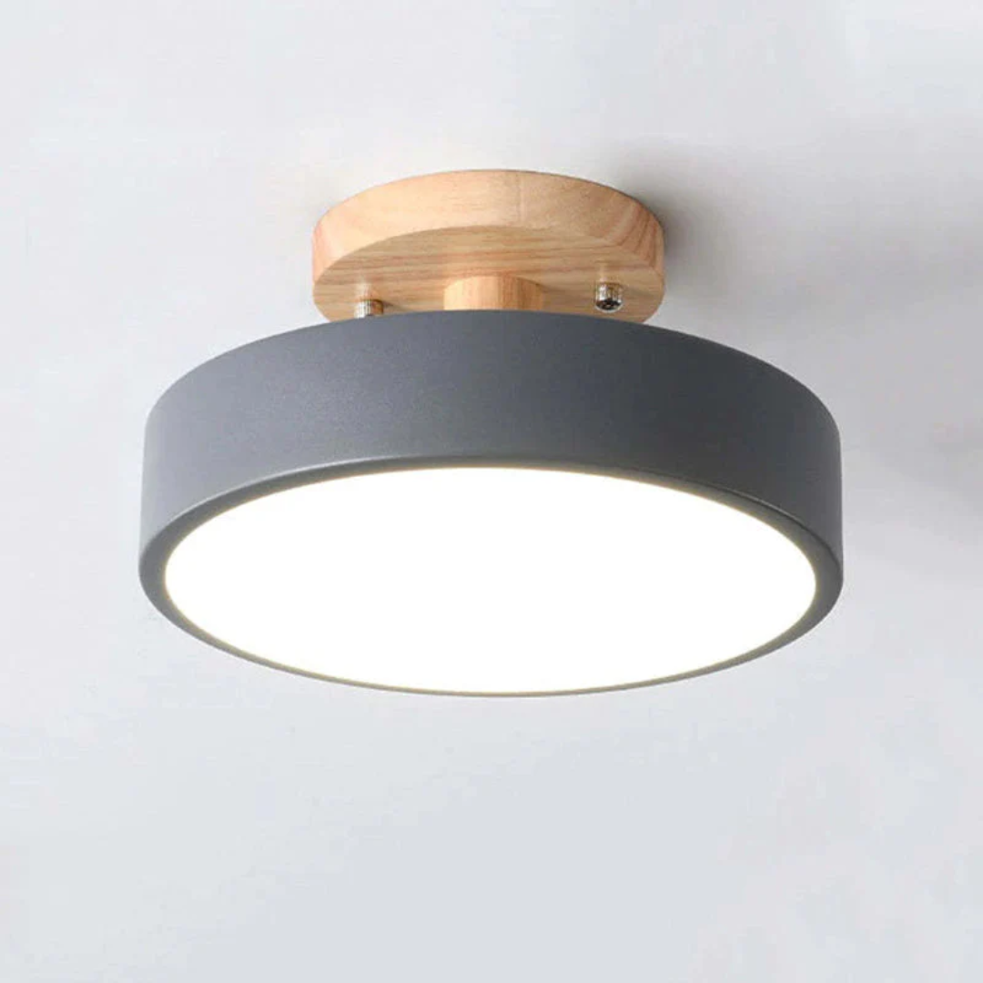Sleek Contemporary LED Light Fixture