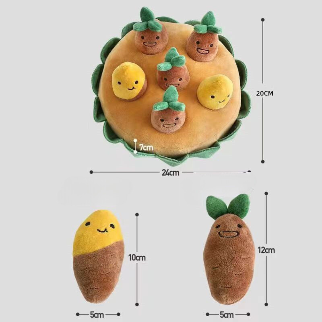 Fun Outdoor Pet Play Toy