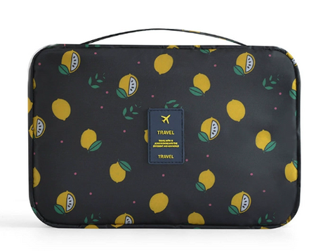 Portable Travel Toiletry Bag with Hook and Padded Protection