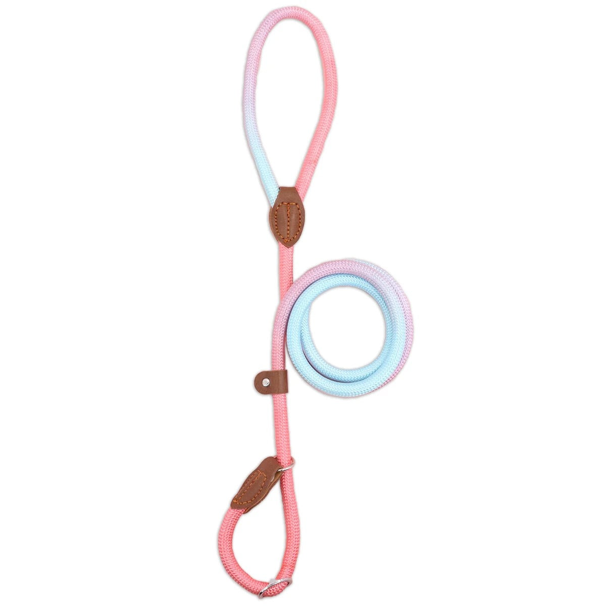 Vibrant Pet Leash for Stylish Dog Walking