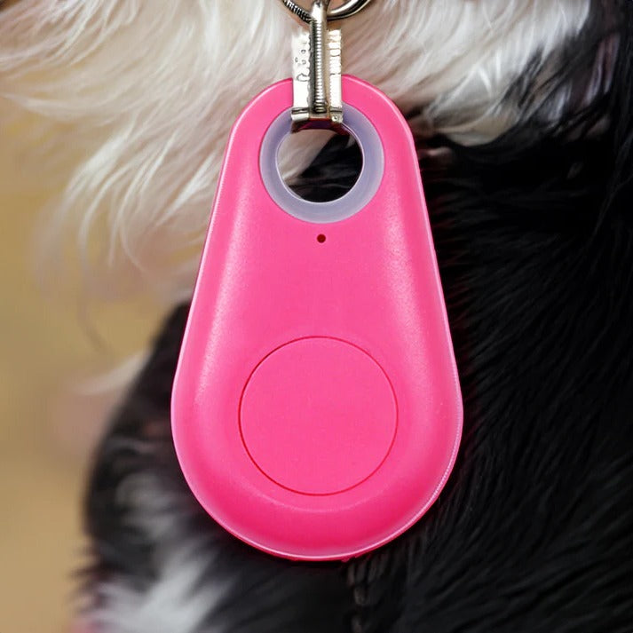 Accurate Pet GPS Location Device