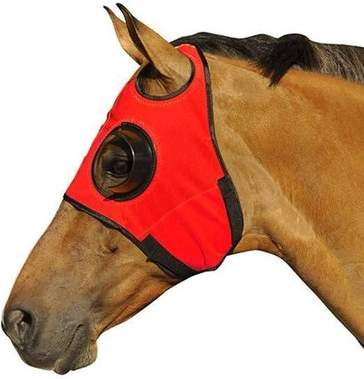 Equine Racing Blinders Set
