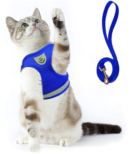 Secure Cat Harness for Outdoor Exploration