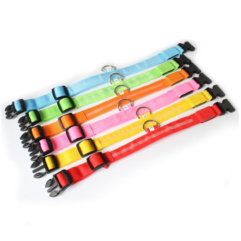 Bright Pet Safety Collar
