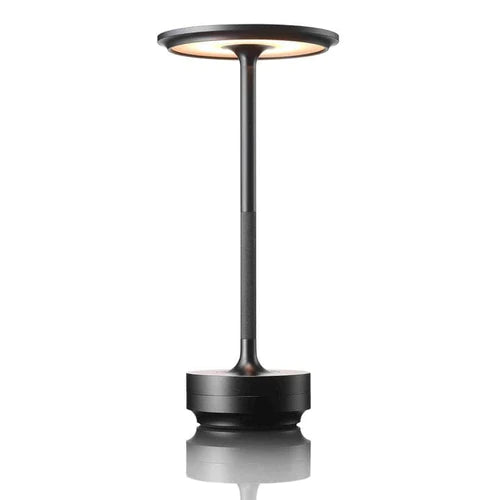 Premium Rechargeable LED Desk Lamp