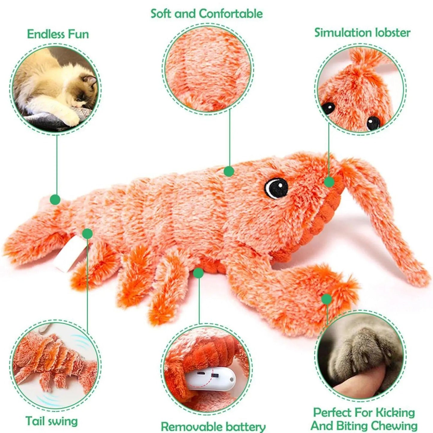 Fun Lobster Cat Teaser Toy