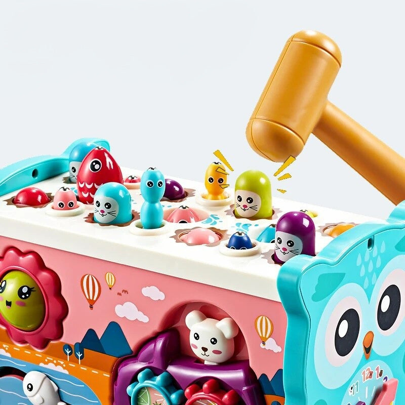 Fun Interactive Owl Toy Set