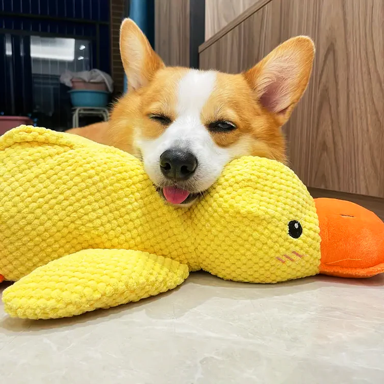 Soft Plush Duck Toy
