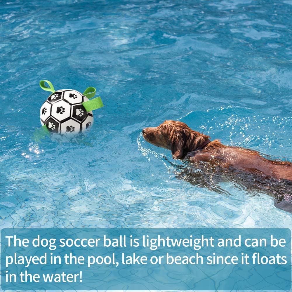 Fun Pet Training Bouncing Ball