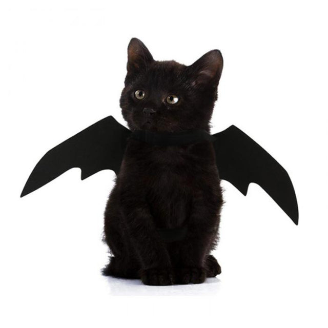 Fun Pet Bat Costume Wings - Befez