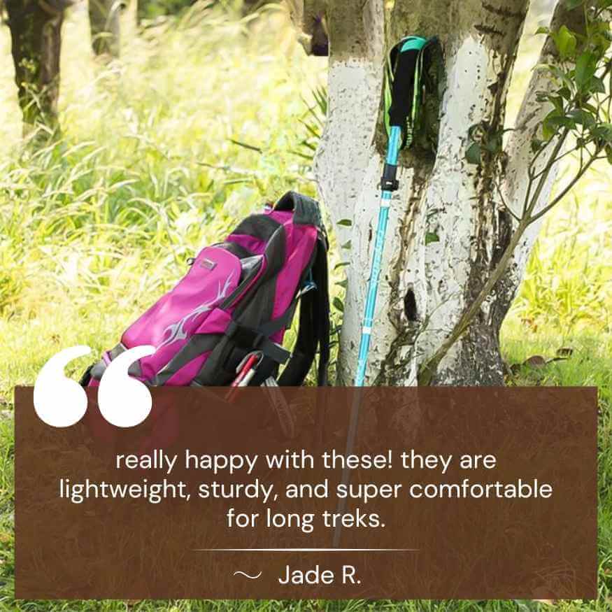 Lightweight Hiking Poles with Comfort Grip