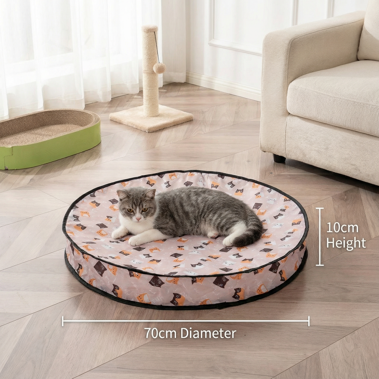 Fun Conceal and Seek Kitty Play Toy