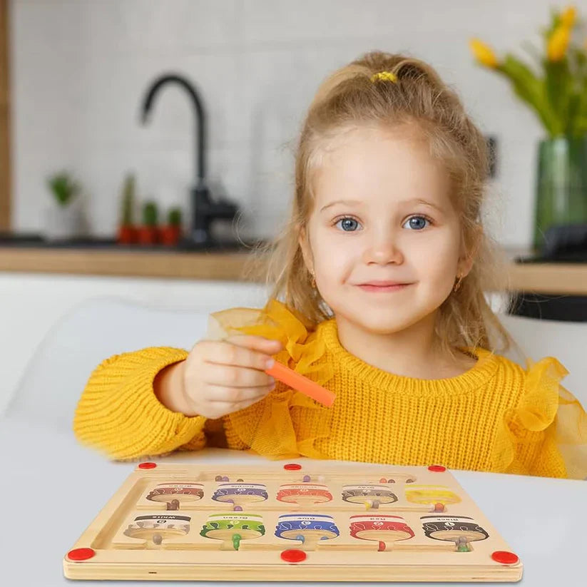 Fun Magnetic Maze Toy