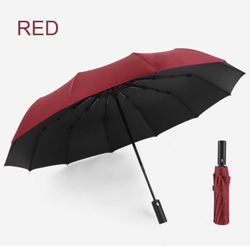 Compact Windproof Travel Umbrella with Auto Open Close
