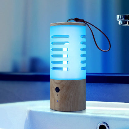Compact UV Sanitizer Light for Home and Car Use