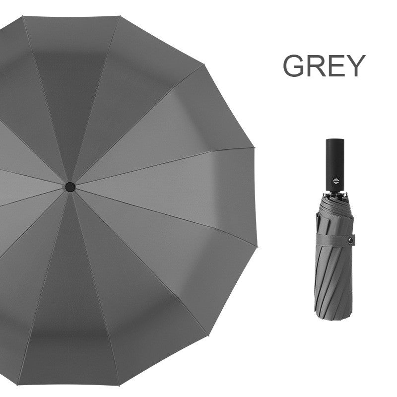 Compact Windproof Travel Umbrella with Auto Open Close