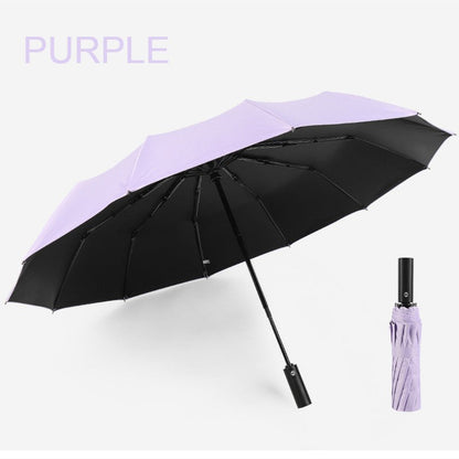 Compact Windproof Travel Umbrella with Auto Open Close