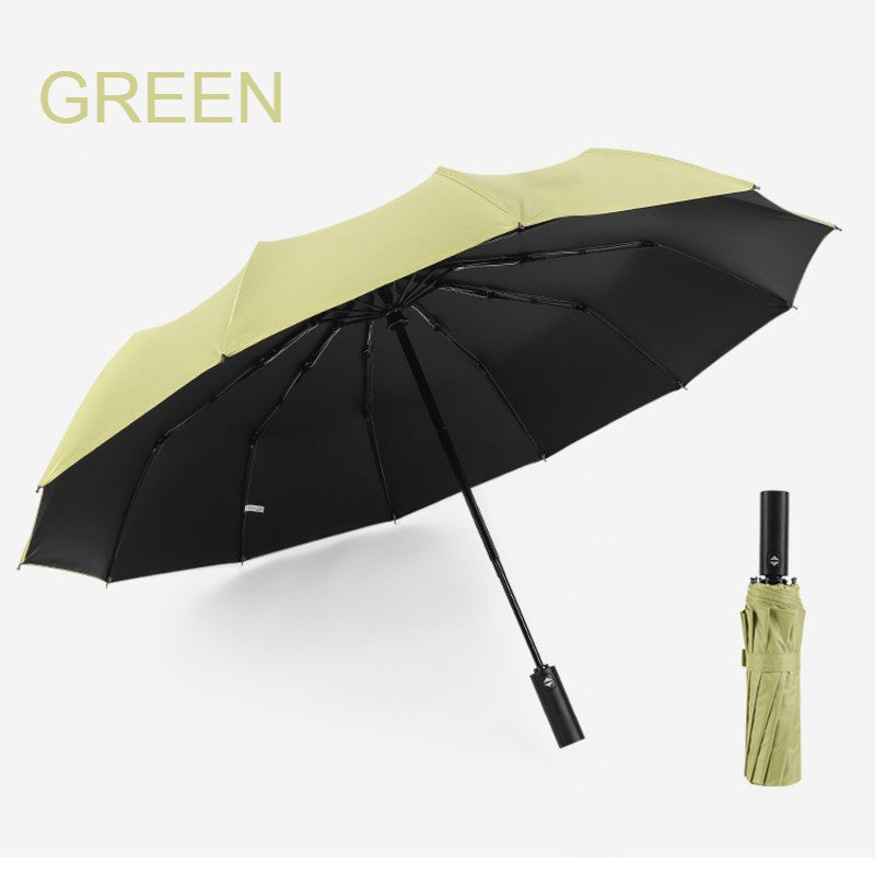 Compact Windproof Travel Umbrella with Auto Open Close
