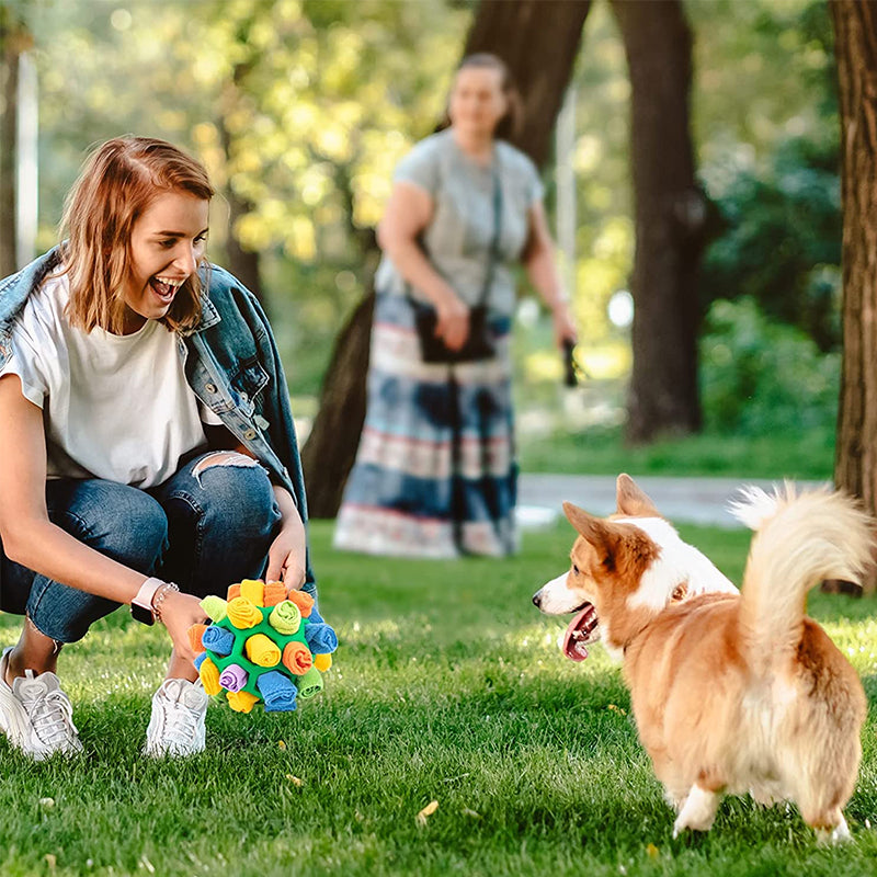 Fun Pet Interactive Ball Toy