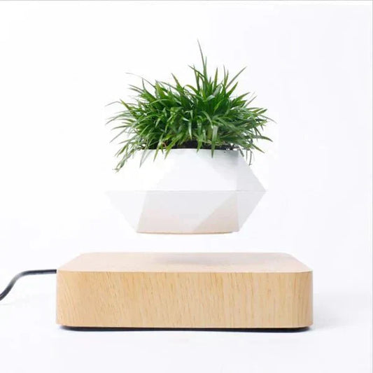 Unique Floating Plant Decor - Befez