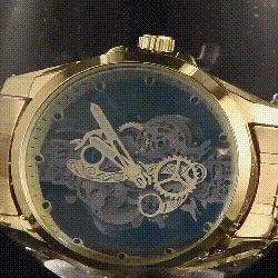 Precision Self-Winding Mechanical Watch